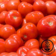 Tomato Seeds - Slicing - Early Choice Red Hybrid - Grown