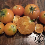 Tomato Seeds - Salad - Containers Choice Orange F1 Hybrid