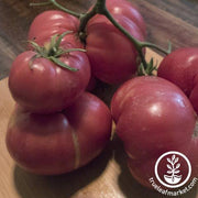 Tomato Seeds - Salad - Containers Choice Pink Hybrid