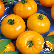 Tomato Seeds - Slicing - Containers Choice Yellow Hybrid