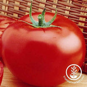 Tomato Seeds - Slicing - Delicious