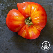 Tomato Seeds - Slicing - Flame