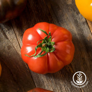 Tomato Seeds - Slicing - Floradel