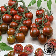 Tomato Seeds - Cherry - Gum Drop Black Hybrid