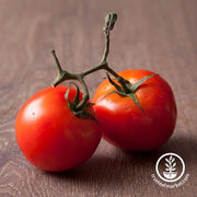 Tomato Seeds - Cherry - Manitoba