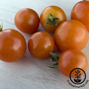 Tomato Seeds - Cherry - Monarch Hybrid