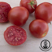 Tomato Seeds - Slicing - Moskvich