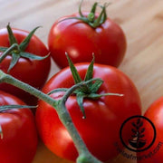 Tomato Seeds - Slicing - Mountain Delight Hybrid