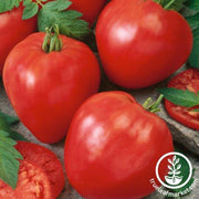 Tomato Seeds - Slicing - Oxheart Red