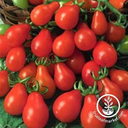 Tomato Seeds - Cherry - Red Pear