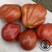 Tomato Seeds - Slicing - Red Truffle