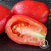 Tomato Seeds - Paste - Rio Fuego