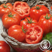 Tomato Seeds - Paste - Striped Paste