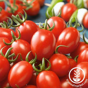 Tomato Seeds - Cherry - Sugar Fairy Hybrid