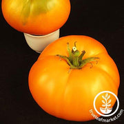 Tomato Seeds - Slicing - Tangerine