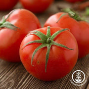 Tomato Seeds - Slicing - Traveler 76