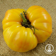 Tomato Seeds - Slicing - Yellow Stuffer