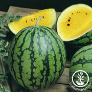 Watermelon Seeds - Mini - Baby Doll Hybrid (Organic)