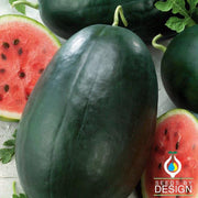 Watermelon Seeds - Giant - Black Diamond Yellow Belly