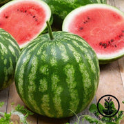 Watermelon Seeds - Mini - Cal Sweet Bush AAS