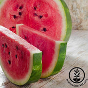 Watermelon Seeds - Picnic - Crimson Sweet