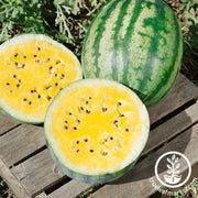 Watermelon Seeds - Picnic - Summer Color Mix