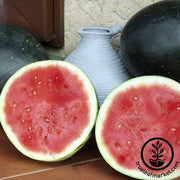 Watermelon Seeds - Picnic - Harvest Moon Hybrid AAS