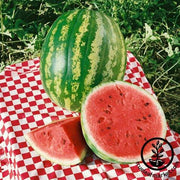 Watermelon Seeds - Picnic - Imperial Hybrid