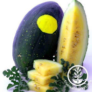 Watermelon Seeds - Picnic - Moon & Stars Yellow Flesh