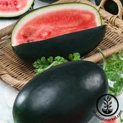 Watermelon Seeds - Picnic - Nobility Hybrid