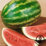 Watermelon Seeds - Picnic - Royalty Hybrid