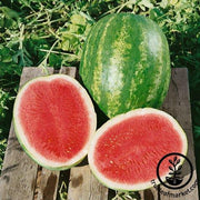 Watermelon Seeds - Picnic - Triple Crown Hybrid