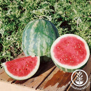 Watermelon Seeds - Picnic - Triple Sweet Hybrid